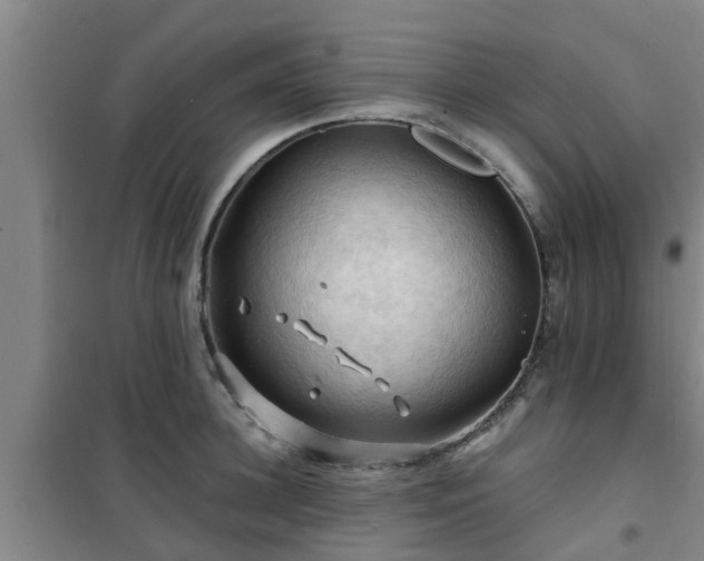 X0000101090948200807031723