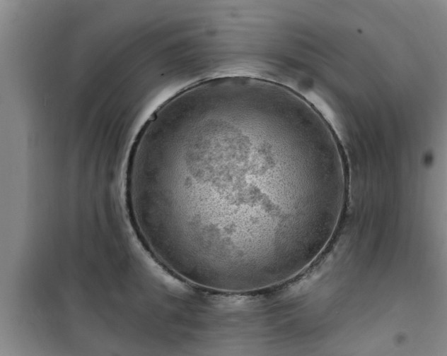 X0000101090949200807031723