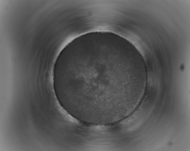 X0000101090950200807031723