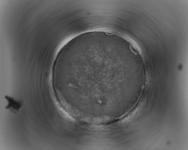 X0000101090952200807031723