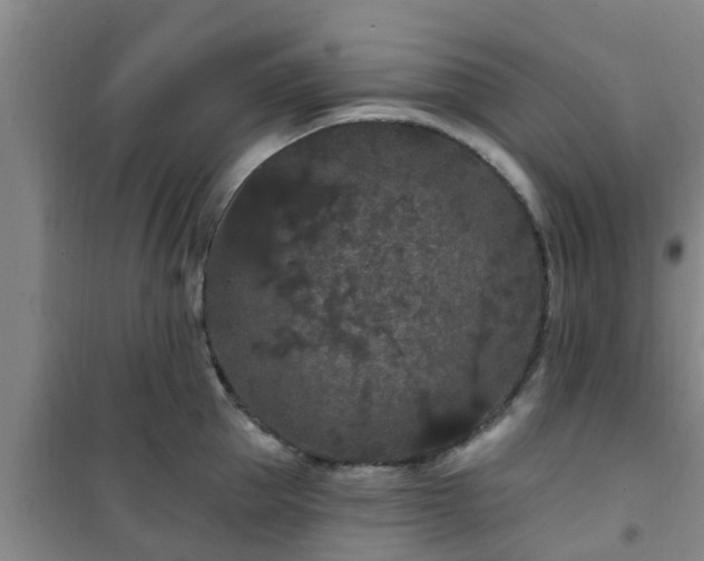 X0000101090953200807031723