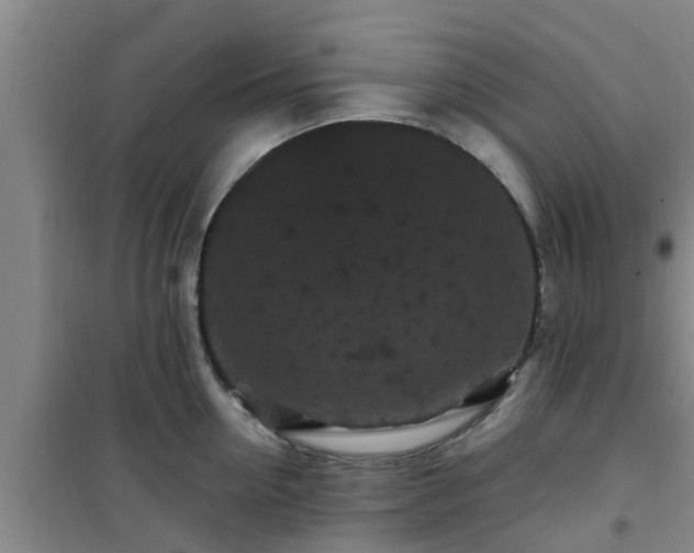 X0000101090954200807031723