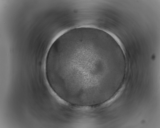 X0000101090957200807031723