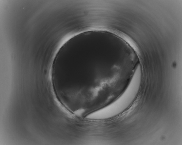 X0000101090958200807031723