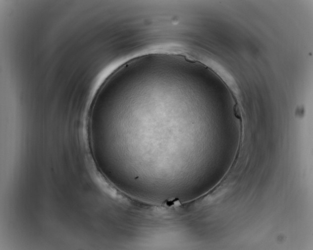 X0000101090960200807031723