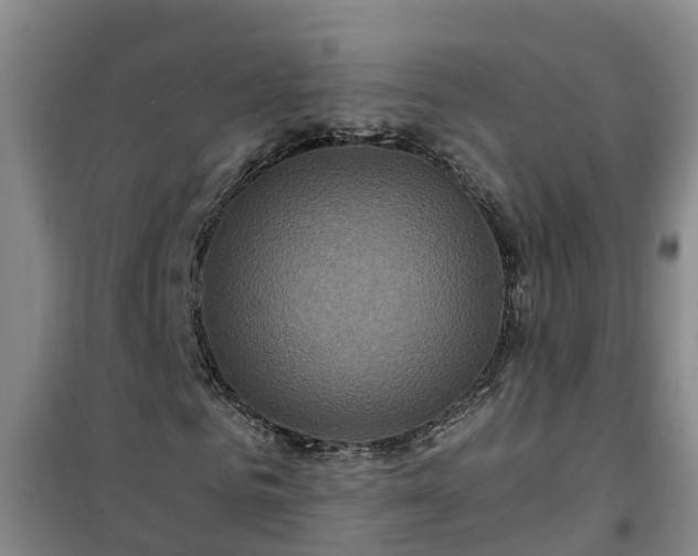 X0000101090961200807031723