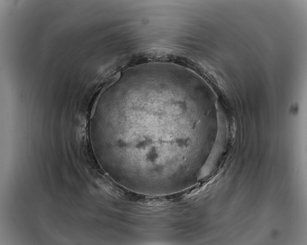 X0000101090964200807031722