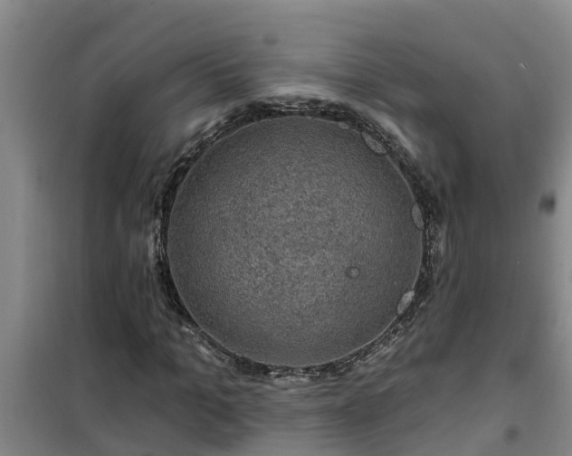 X0000101090965200807031722