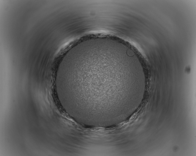 X0000101090967200807031722