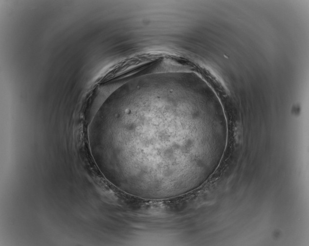 X0000101090968200807031722