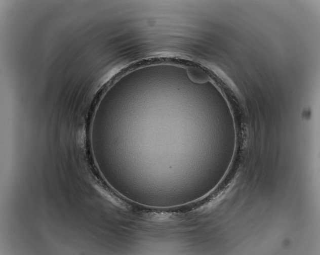 X0000101090969200807031722