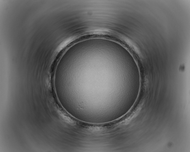 X0000101090970200807031722