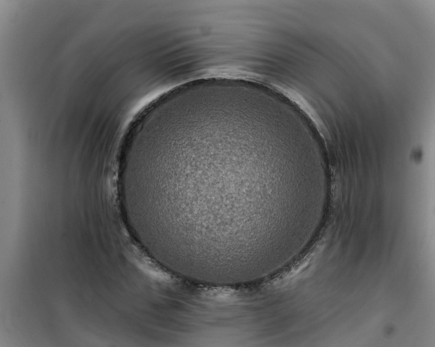 X0000101090971200807031722