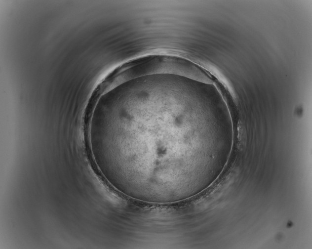 X0000101090972200807031722