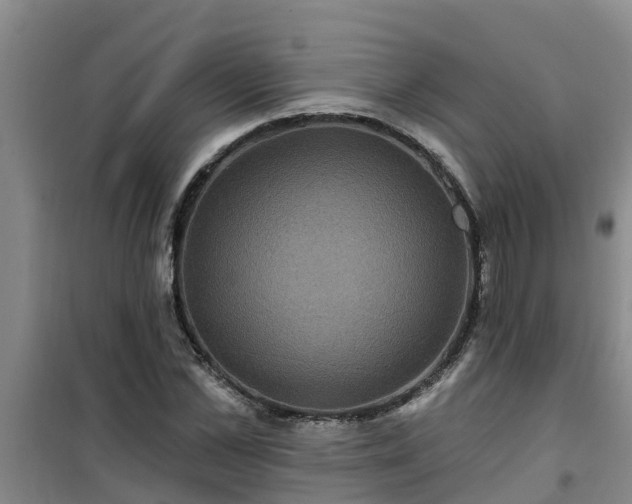 X0000101090973200807031722