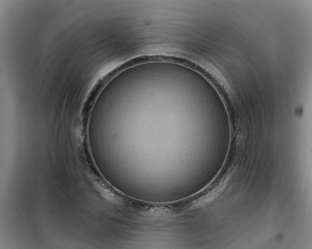 X0000101090974200807031722