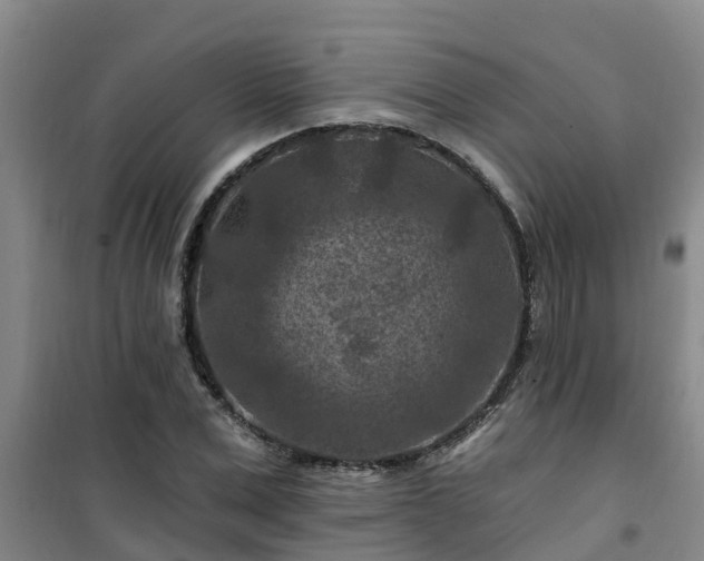 X0000101090975200807031722