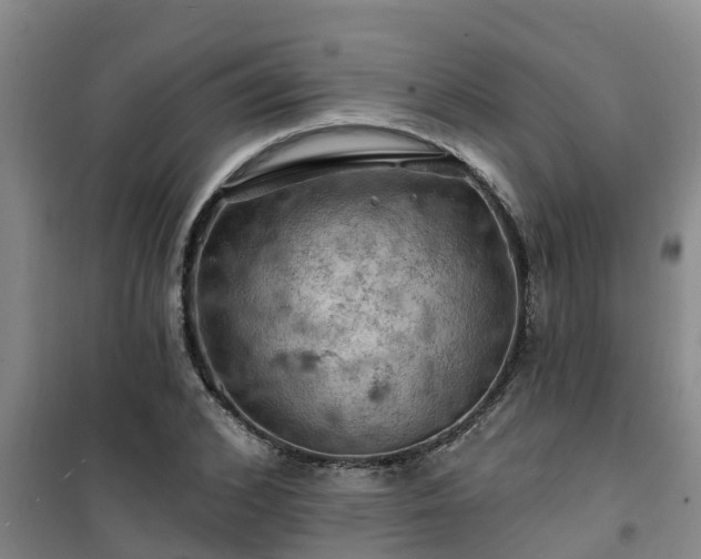 X0000101090976200807031722