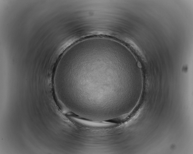 X0000101090977200807031722