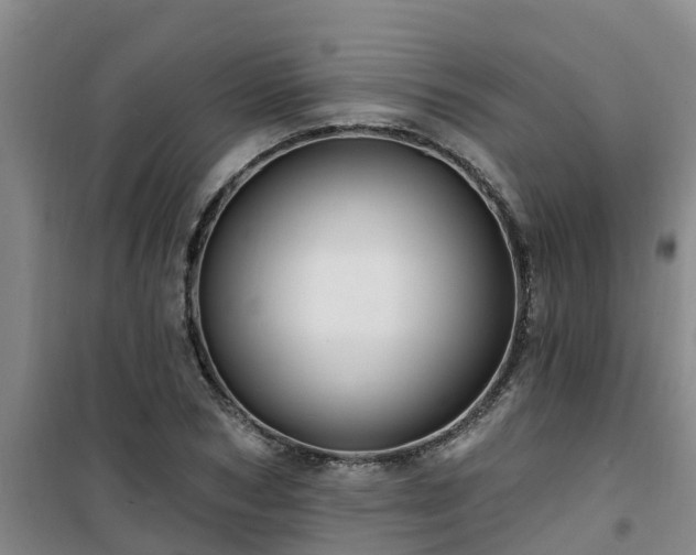 X0000101090978200807031722