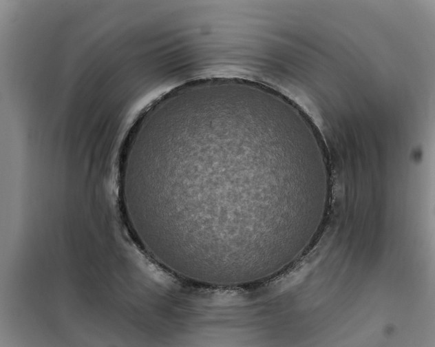 X0000101090979200807031722