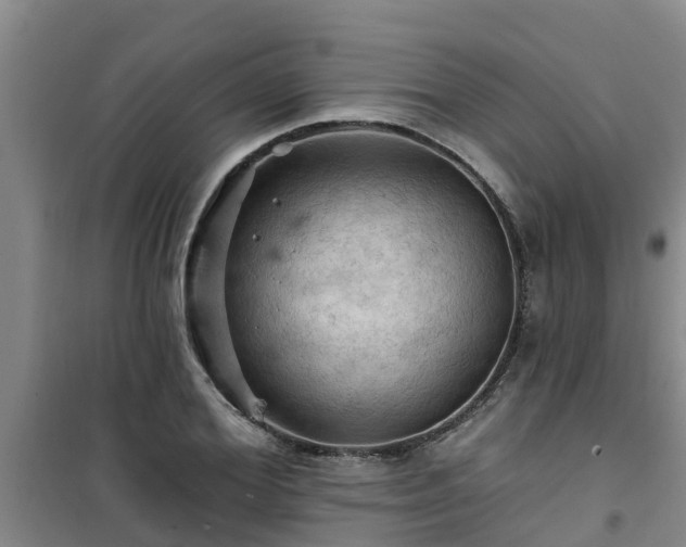 X0000101090980200807031722