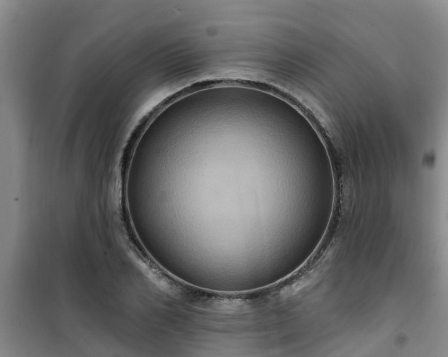 X0000101090982200807031722