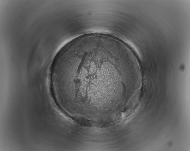 X0000101090983200807031722