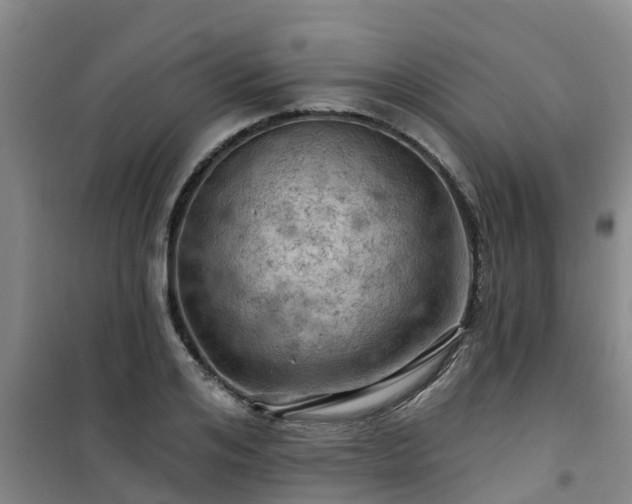 X0000101090984200807031722