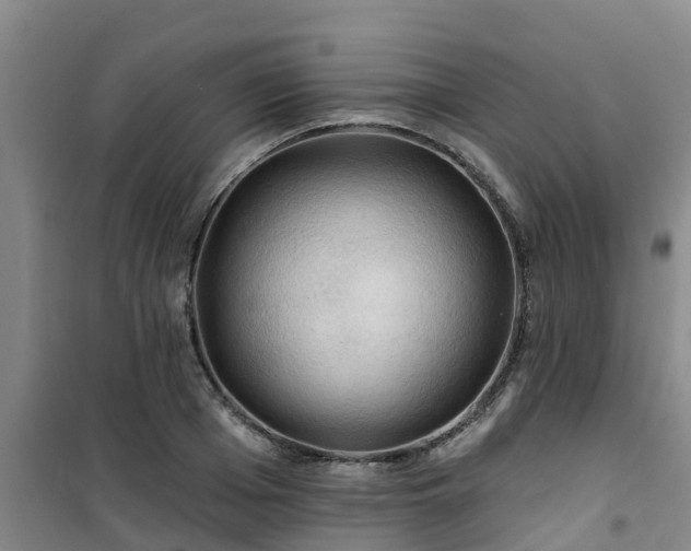 X0000101090985200807031722