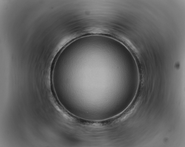 X0000101090986200807031722