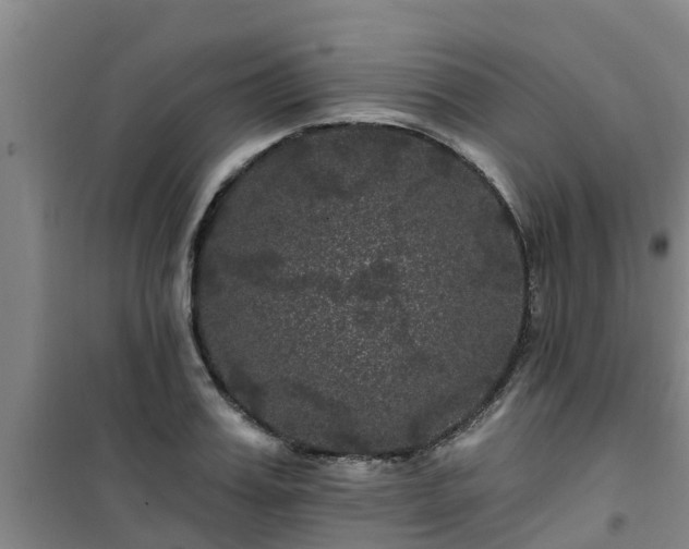 X0000101090987200807031722