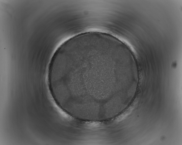 X0000101090991200807031722