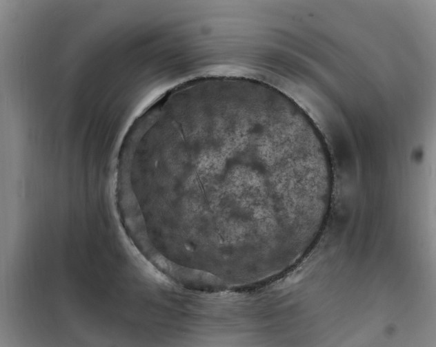 X0000101090992200807031722