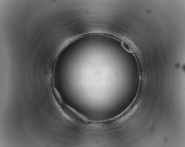 X0000101090993200807031722