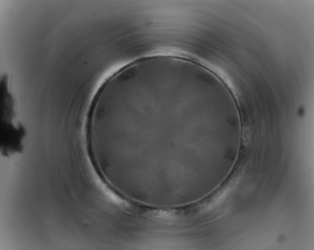 X0000101090995200807031722