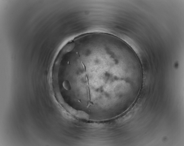 X0000101090996200807031722