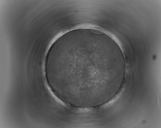 X0000101090997200807031722