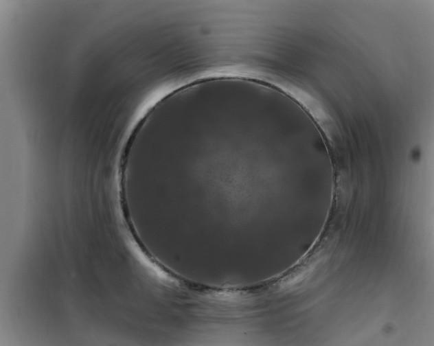 X0000101090998200807031722