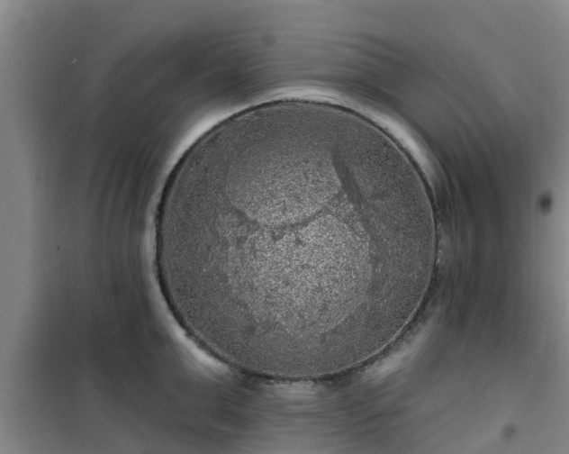 X0000101090999200807031722