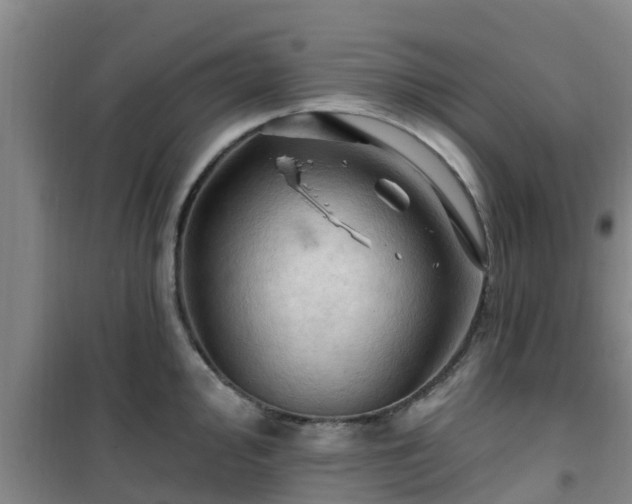 X0000101091000200807031722