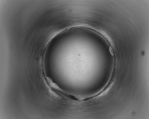 X0000101091001200807031722