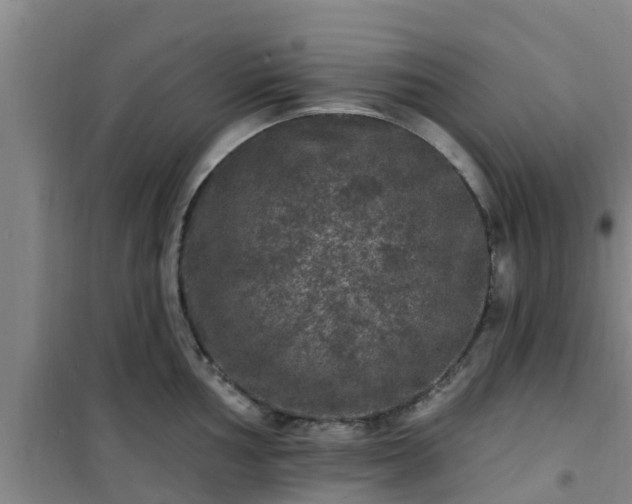 X0000101091002200807031722