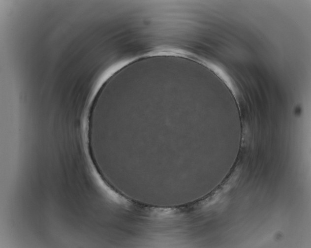 X0000101091003200807031722