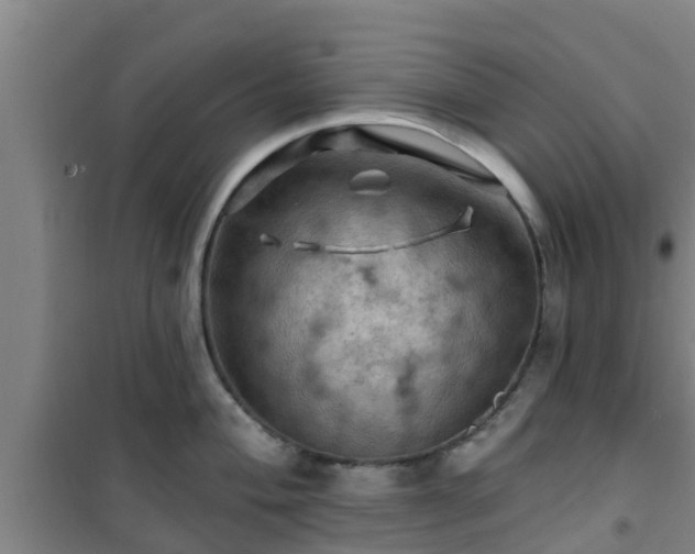 X0000101091004200807031722