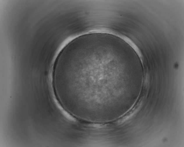 X0000101091005200807031722