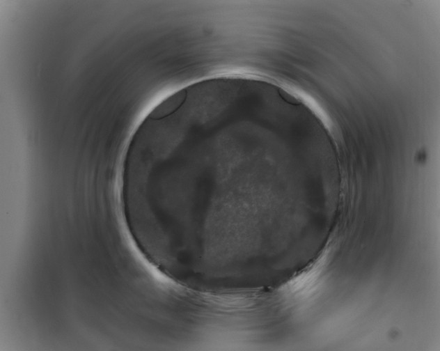 X0000101091007200807031722