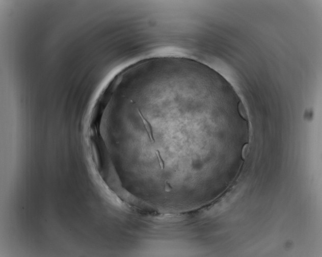 X0000101091008200807031722