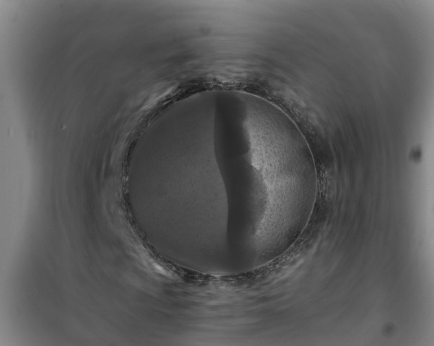 X0000101091009200807031721