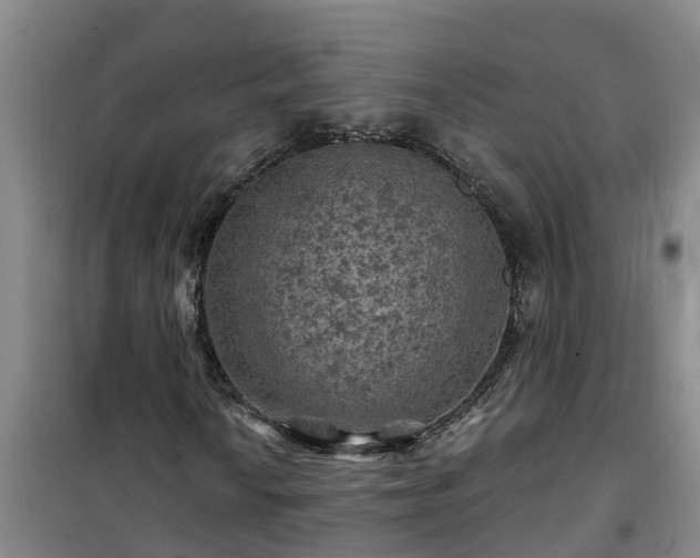 X0000101091010200807031721